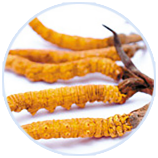 �Ƿ�����(�й���)-�ٷ���վ